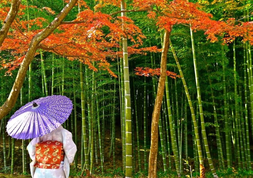 Kyoto UNESCO World Heritage Sites 1d Tour from Osaka/Kyoto - A full Kyoto UNESCO classic day, built for short stops