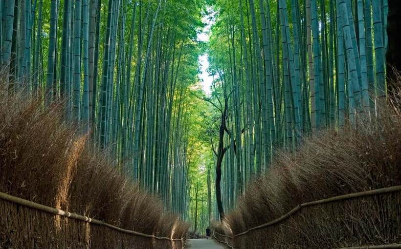 Kyoto UNESCO World Heritage Sites 1d Tour from Osaka/Kyoto - Sanjusangendo: 1,001 golden Kannon statues in Japan’s longest wooden hall