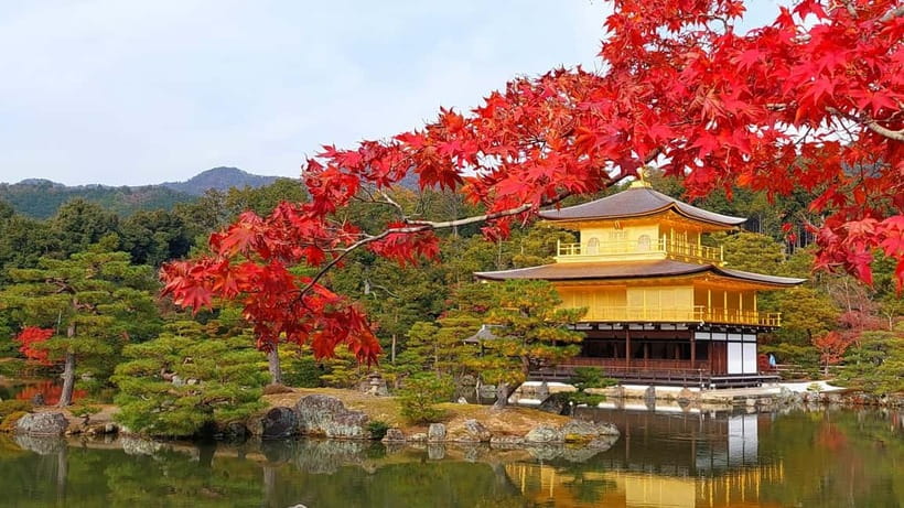 Kyoto UNESCO World Heritage Sites 1d Tour from Osaka/Kyoto - Kinkaku-ji Golden Pavilion: gold leaf and Mirror Pond symmetry