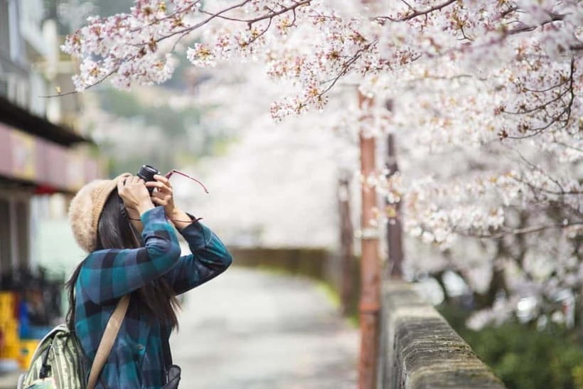 Kyoto Unveiled: Private Tour of Heritage, Beauty & Spirit - Starting Point at McDonald’s Near Shijo Ohashi Bridge