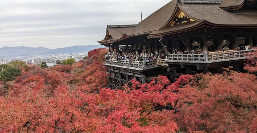 Kyoto: Walking tour Kiyomizu, Geisha District with a Local - Key things I think you will notice fast