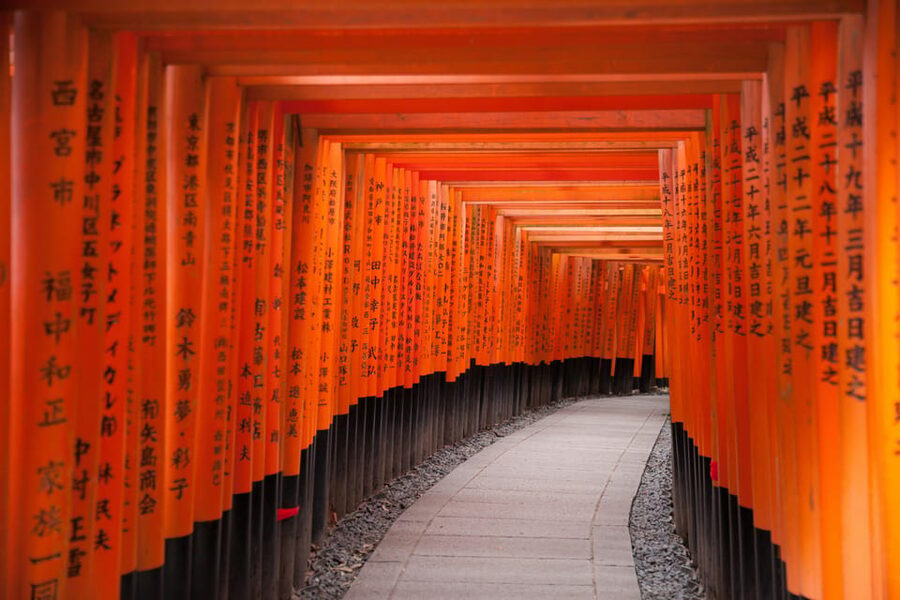 Kyoto: with Private Car Personalized Private 6-Hour Tour - Kinkaku-ji Golden Pavilion, The Kyoto Landmark You Can Actually Focus On