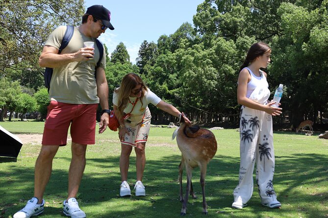 Luxury Kyoto 1-Day Private Car Tour with Nara & Osaka Options - Price and Value: What $185 Per Person Really Includes