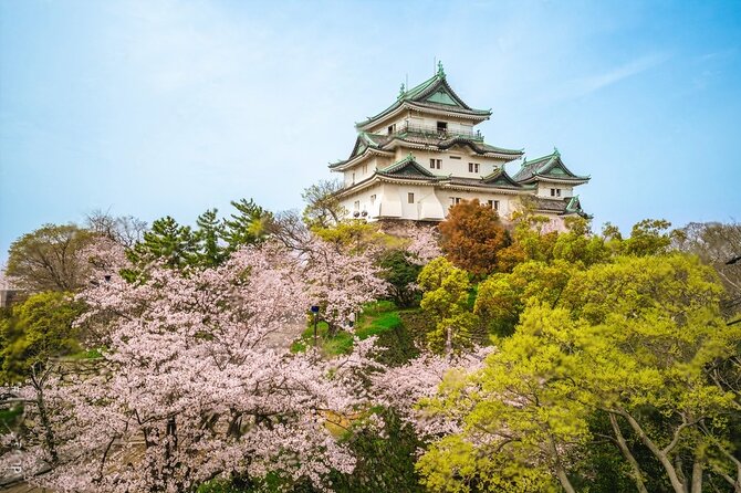 Nachi Waterfall, Mount Koya & Wakayama Tour with Two Options - Tickets and fees: what you pay beyond the tour price