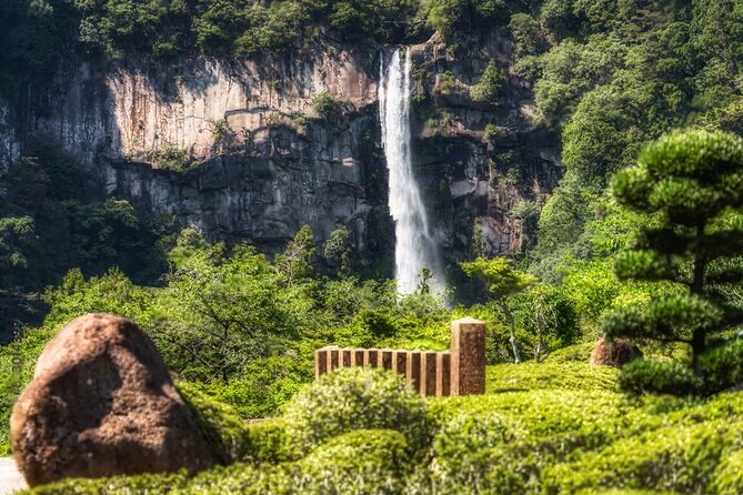 Nachi Waterfall, Mount Koya & Wakayama Tour with Two Options - Best for what kind of traveler (and when to choose each option)