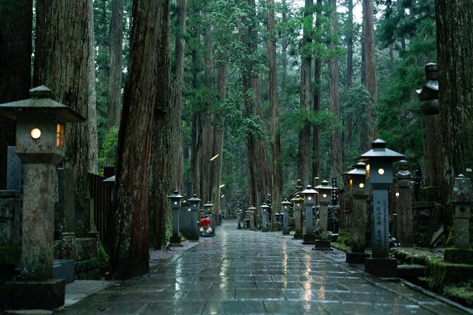 Nachi Waterfall, Mount Koya & Wakayama Tour with Two Options - Should you book this Nak i Waterfall, Mount Koya & Wakayama Tour?