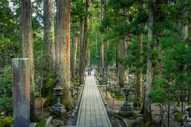 Nachi Waterfall, Mount Koya & Wakayama Tour with Two Options - Nachi Waterfall option: Nachi Taisha, coastal caves, and sea choices