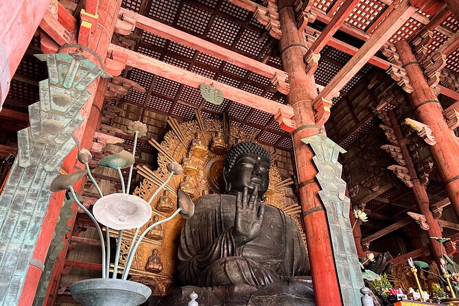 Nara and Fushimi Inari, the sacred heart of Japan - Nara and Fushimi Inari: what this “sacred heart” day really delivers