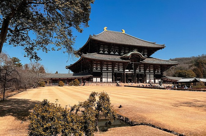 Nara and Fushimi Inari, the sacred heart of Japan - Nara Park with its deer: how to enjoy it without making it weird