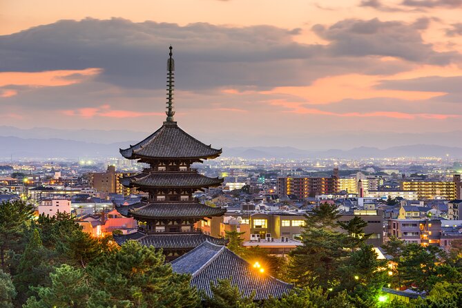 Nara Car Tour from Kyoto: English speaking Driver Only, No Guide - Nara Park and the deer: free time, just plan for the chaos