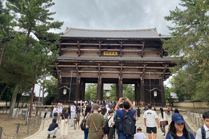 Nara Guided Tour by Private Car from Kyoto - Naramachi historic district walking, where the day cools down