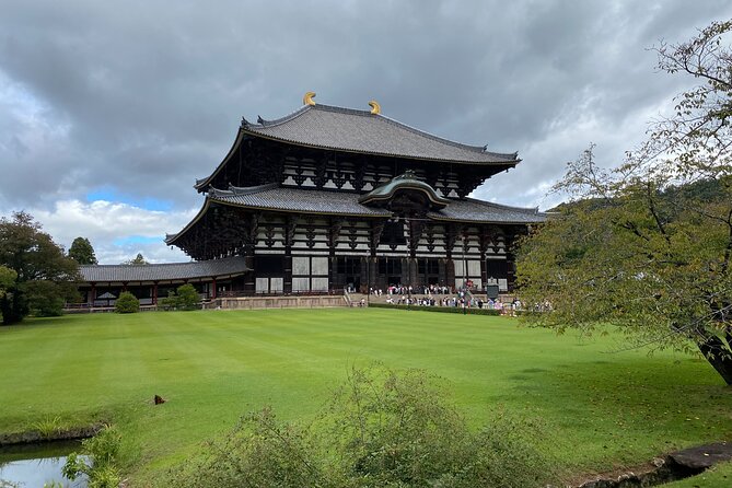 Nara Guided Tour by Private Car from Kyoto - Nara Park deer encounter, a simple start with big payoff