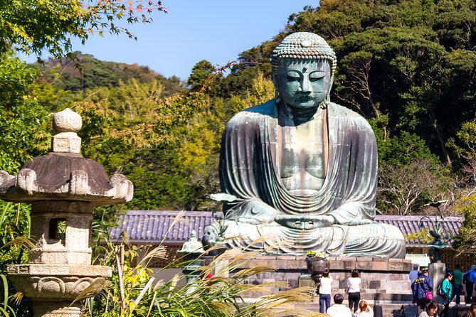 Nara Todaiji Kasuga Taisha Private Full Day Tour From Kyoto - Key highlights you will care about