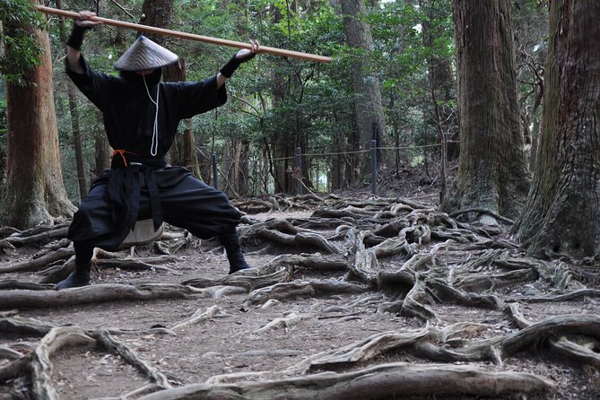 Ninja Trekking half-day tour at Mt.Daimonji Kyoto - What this Mt. Daimonji ninja trekking is, in plain terms