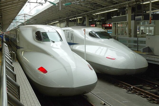 No Emission Car and Bullet Train Kyoto Shore Excursion from Kobe - Key highlights to know before you go