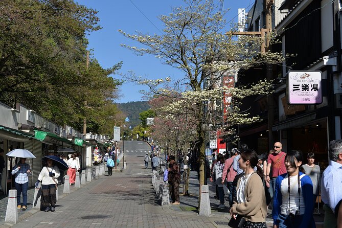 Old Port Town and Ultimate Sake Tasting Private Tour From Kyoto - Price and value: is $130 fair for this 3-hour private tour?