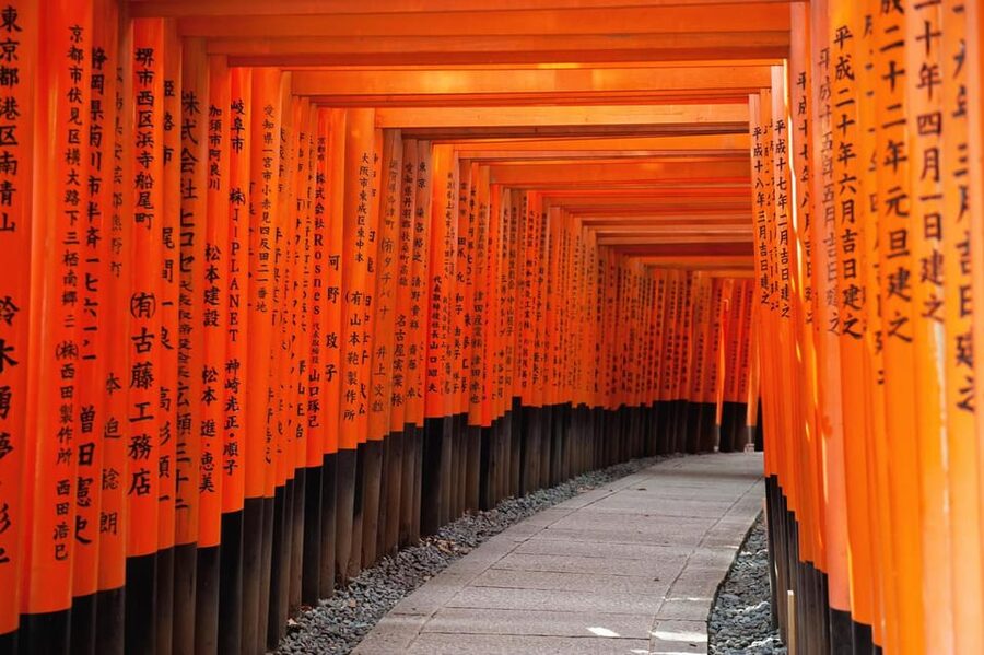 One Day Private Customized Self-Guided Tour in Kyoto - Comfort, seats, and the no-guide setup