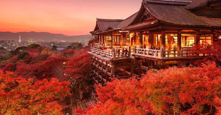 One Day Private Customized Self-Guided Tour in Kyoto - A smooth start: pickup, driver contact, and timing realities