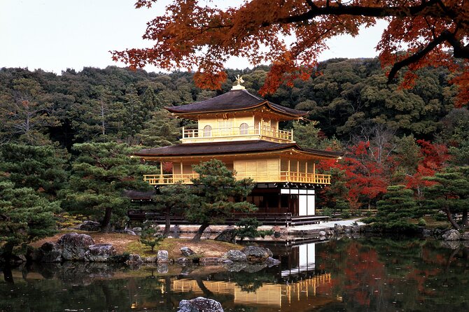 One-Day Tour of Kyoto's Highlights from Osaka/Kyoto - Getting There Comfortably: Bus Wi-Fi, Meet Times, and Group Size