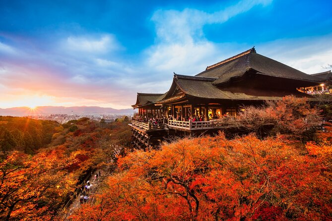 One-Day Tour of Kyoto's Highlights from Osaka/Kyoto - Lunch Options: What’s Included, What to Bring, and Food Limits