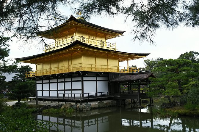 One-Day Walking Tour : Enjoy Kyoto to the fullest! - Stop 1: Bamboo Forest Street in the morning light