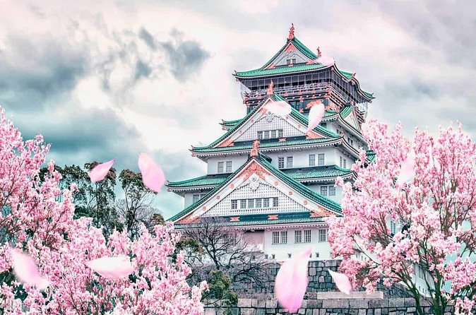 Osaka and Nara Day Tour with Private Transportation - Timing, walking, and heat: where the day can feel long