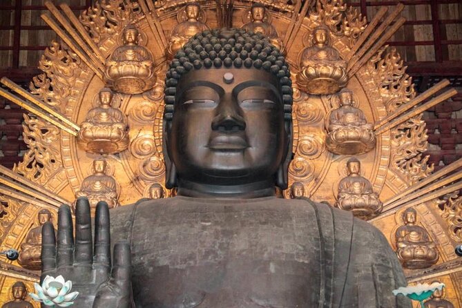 Osaka and Nara Day Tour with Private Transportation - Nara Park and the deer: fun photos, real rules