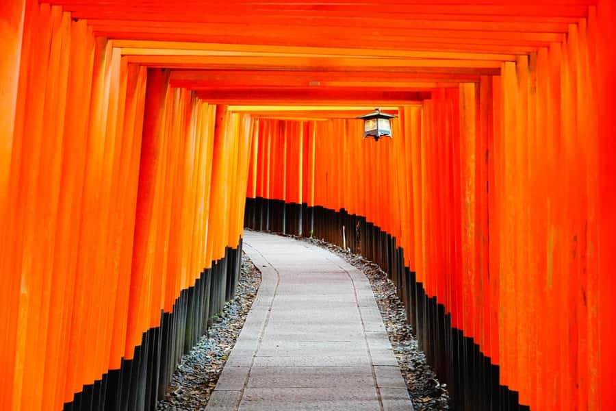 Osaka/Kyoto: Arashiyama, Nara & Fushimi Inari Shrine w/Lunch - Nara Park and Todai-ji: deer encounters with rules you can follow