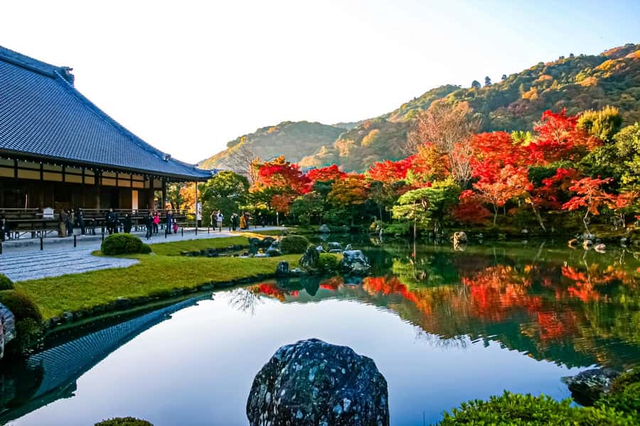Osaka/Kyoto: Arashiyama, Nara & Fushimi Inari Shrine w/Lunch - Value check: what about $61 per person really buys you