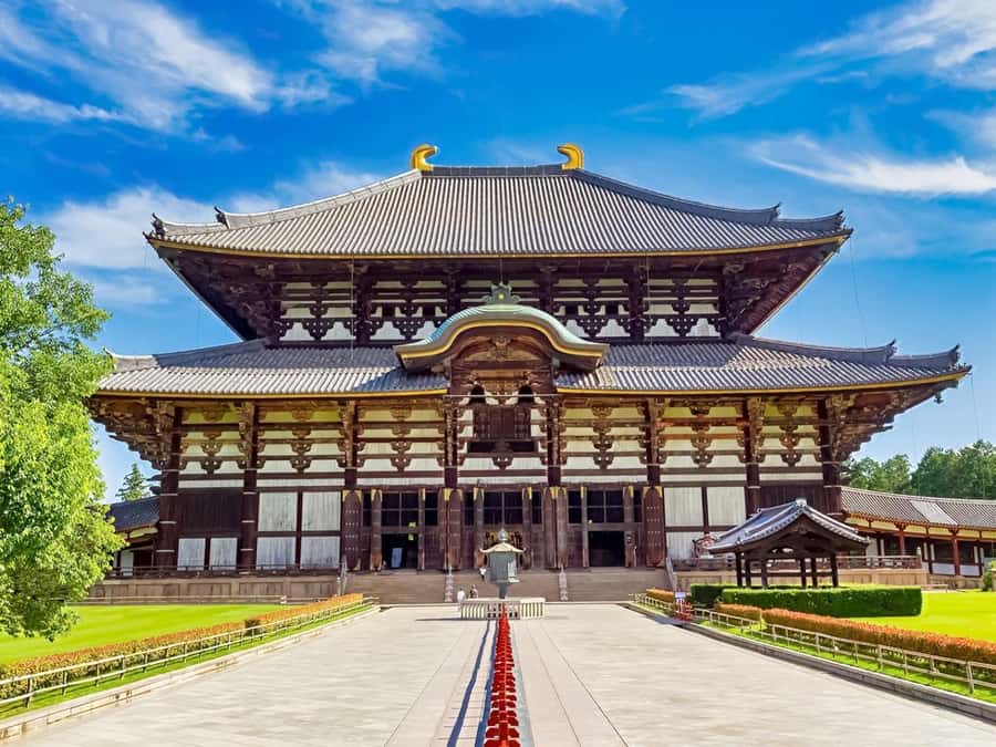 Osaka/Kyoto: Arashiyama, Nara & Fushimi Inari Shrine w/Lunch - What to do to make the day feel great, not rushed