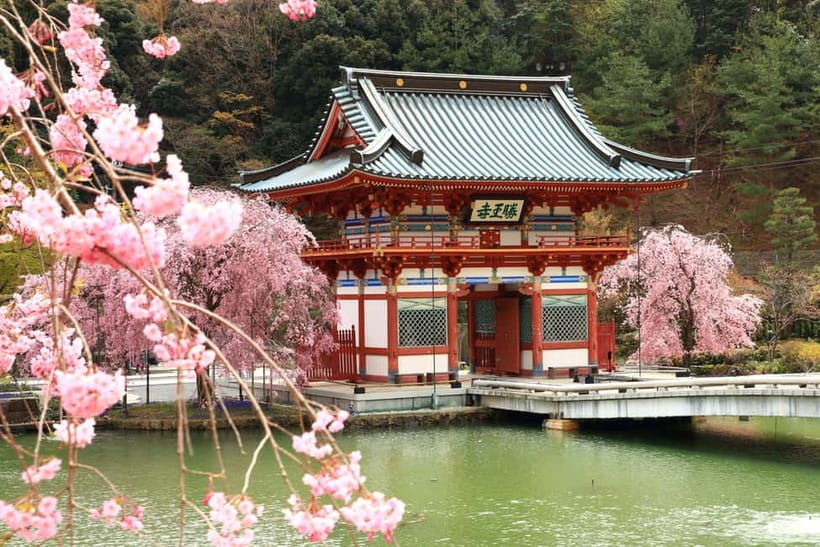 Osaka/Kyoto: Katsuoji, Kinkakuji, Arashiyama 1-Day Bus Tour - Kimono Forest and Nonomiya Shrine, small stops that add real flavor