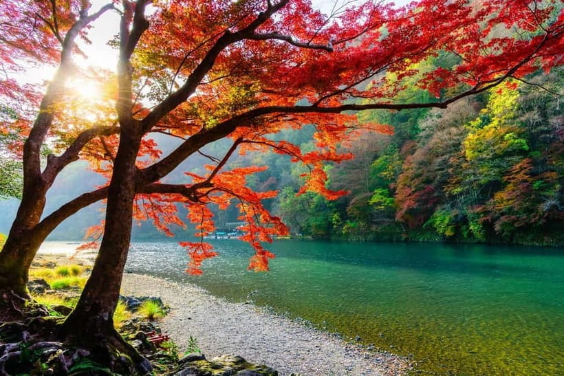 Osaka/Kyoto: Katsuoji, Kinkakuji, Arashiyama 1-Day Bus Tour - Price and logistics, why this $56 bus tour is actually good value