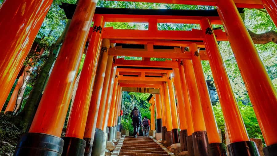 Osaka/Kyoto:Kinkakuji,Arashiyama,FushimiInariShrine,NaraPark - Key highlights in plain language