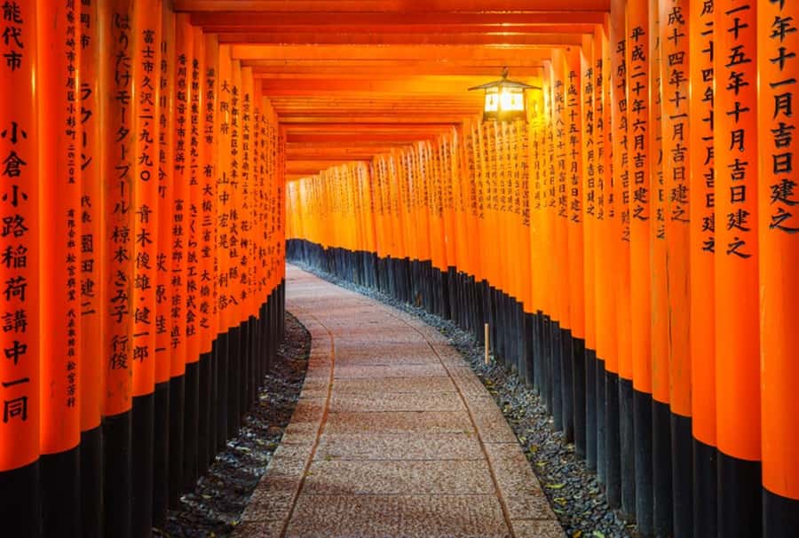 Osaka/Kyoto:Kinkakuji,Arashiyama,FushimiInariShrine,NaraPark - Why this day trip feels efficient in Japan