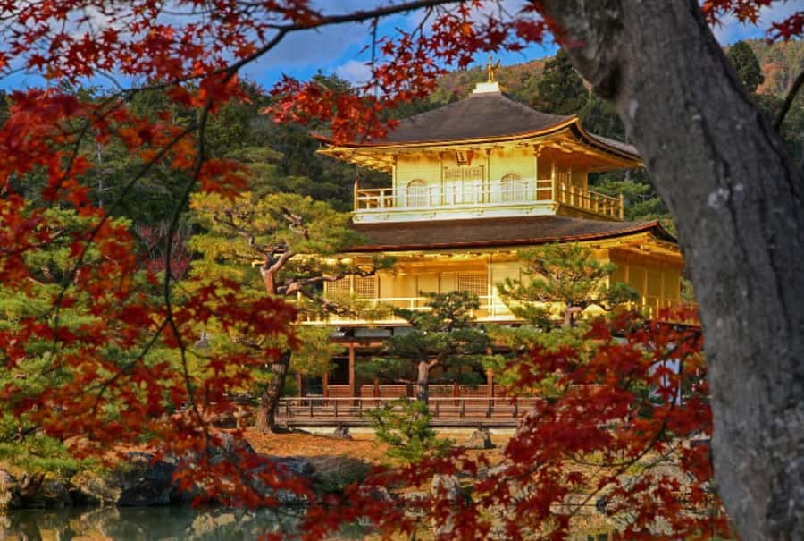 Osaka/Kyoto:Kinkakuji,Arashiyama,FushimiInariShrine,NaraPark - Optional Kobe beef shabu-shabu lunch: worth it, with a timing trade