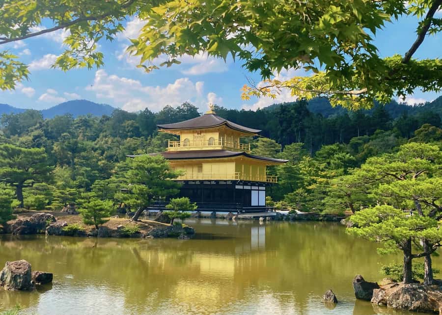 Osaka/Kyoto:Kinkakuji,Arashiyama,FushimiInariShrine,NaraPark - Included vs not included: what you are really paying for