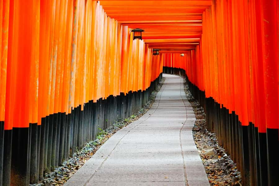 Osaka/Kyoto:Kinkakuji,Arashiyama,FushimiInariShrine,NaraPark - The route starts with VIP lounge pickup, then moves fast