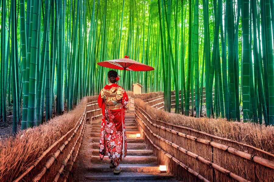 Osaka/Kyoto: Private Kyoto and Nara Day Trip - Fushimi Inari Taisha: start with torii, not regrets