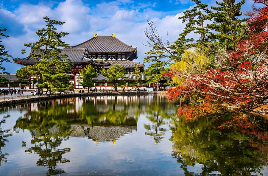 Osaka/Kyoto: Private Kyoto and Nara Day Trip - Kasuga-taisha Shrine: the calm finish that feels distinctly Nara