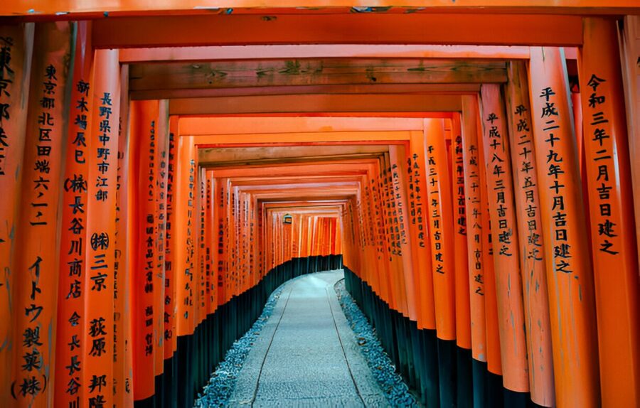 Osaka/Kyoto: Private Kyoto and Nara Day Trip - Choosing the right version: Kyoto-only, Nara-only, or the combo day
