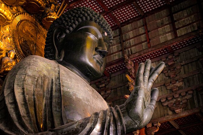 Osaka & Nara in 1-Day by Private Van with Local Expert Guide - Key points to know before you go