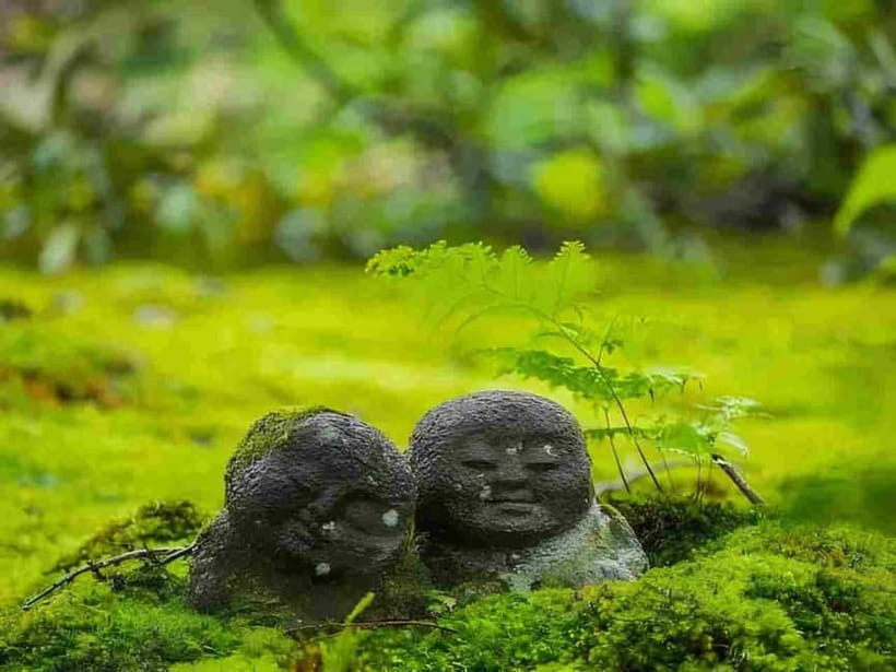 Osaka to Kyoto: Arashiyama Bamboo Grove Small Group Tour - What You Really Get For the $69 Price