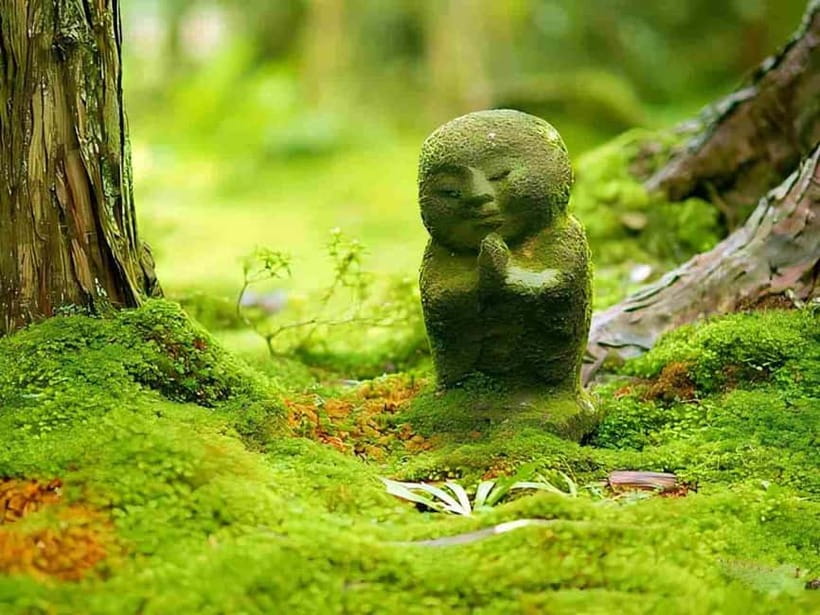 Osaka to Kyoto: Arashiyama Bamboo Grove Small Group Tour - Kifune Shrine: Crimson Lantern Paths and Love Fortune Telling
