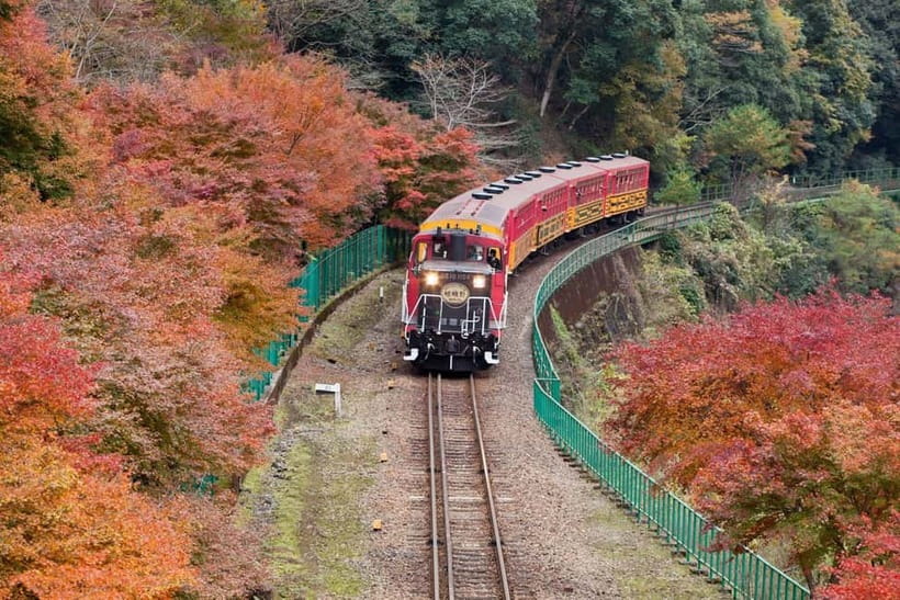 Osaka to Kyoto: Arashiyama Bamboo Grove Small Group Tour - Togetsukyo Bridge: Heian-Era Photo Spot Over the Hozu River