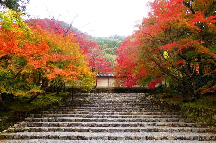 Osaka to Kyoto: Arashiyama Bamboo Grove Small Group Tour - Kimono Forest at Arashiyama Station: Color Pillars and a Short Recharge