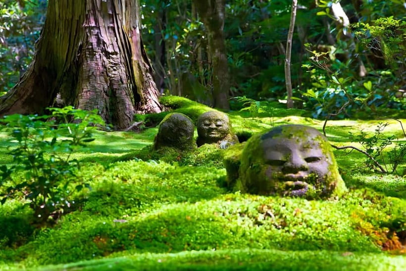 Osaka to Kyoto: Arashiyama Bamboo Grove Small Group Tour - Arashiyama Bamboo Grove: Sun-Dappled Walking Like a Scene