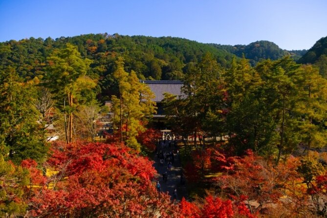 Peaceful Kyoto Walking Tour - Meeting Point, Group Size, and the Pace You Feel