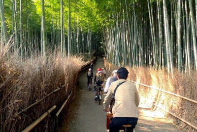 Peaceful Pedals: Arashiyama Slow Cycling Retreat