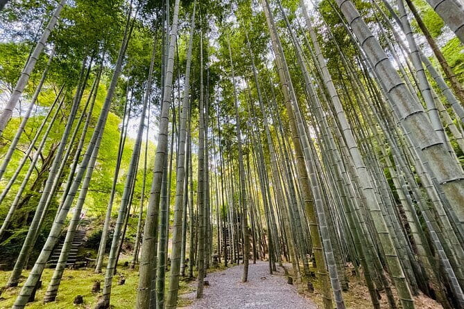 Pedal Adventure Kyoto E-Bike tour : True Kyoto Avoid the crowds - Why this e-bike tour feels like true Kyoto, not a checklist