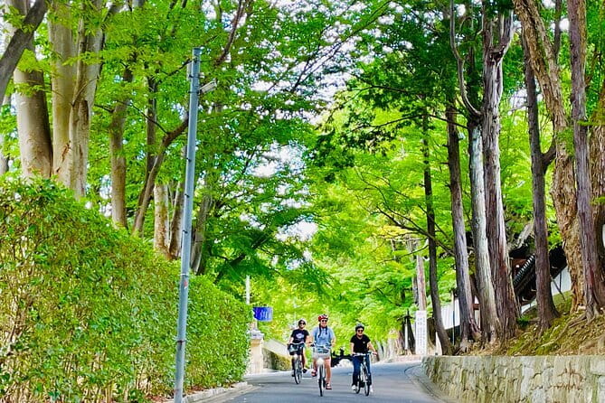 Pedal Adventure Kyoto's iconic landmarks on an e-bike tour - Why This Kyoto E-Bike Loop Works So Well